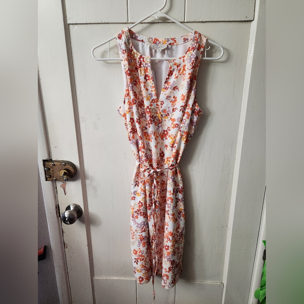 NWT Loft Dress